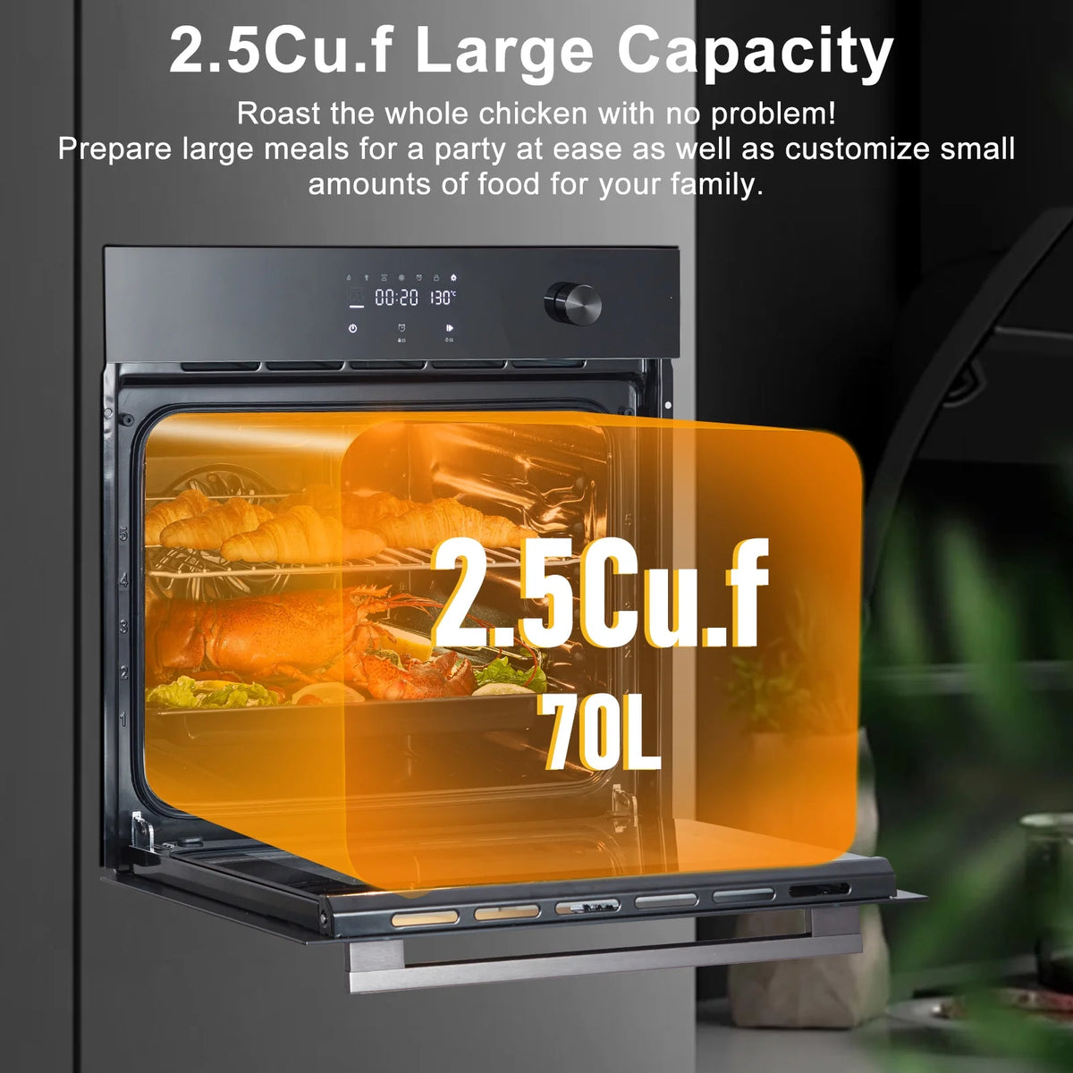 2025 New Single Wall Oven 24" Electric, 3000W Gas, 8 Cooking Functions, Convection Cooking, Touch Screen & Mechanical Knobs, Stainless Steel Built-in 2.5 Cu.ft.