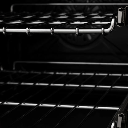 ZLINE 24" Professional Dual Fuel Range with Color Door Options (RA24)