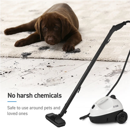 Commercial CARE Corded Electric Multipurpose Portable Canister Steam Cleaner with Accessories CCFC150