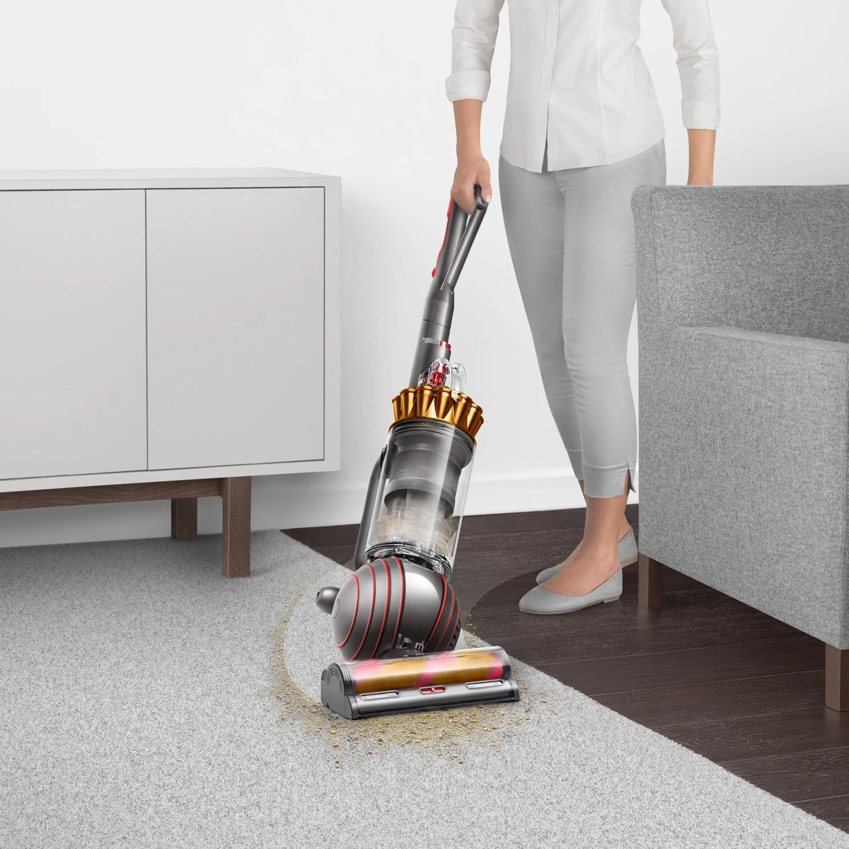 Dyson Ball Animal 3 Complete Upright Vacuum | Gold | New