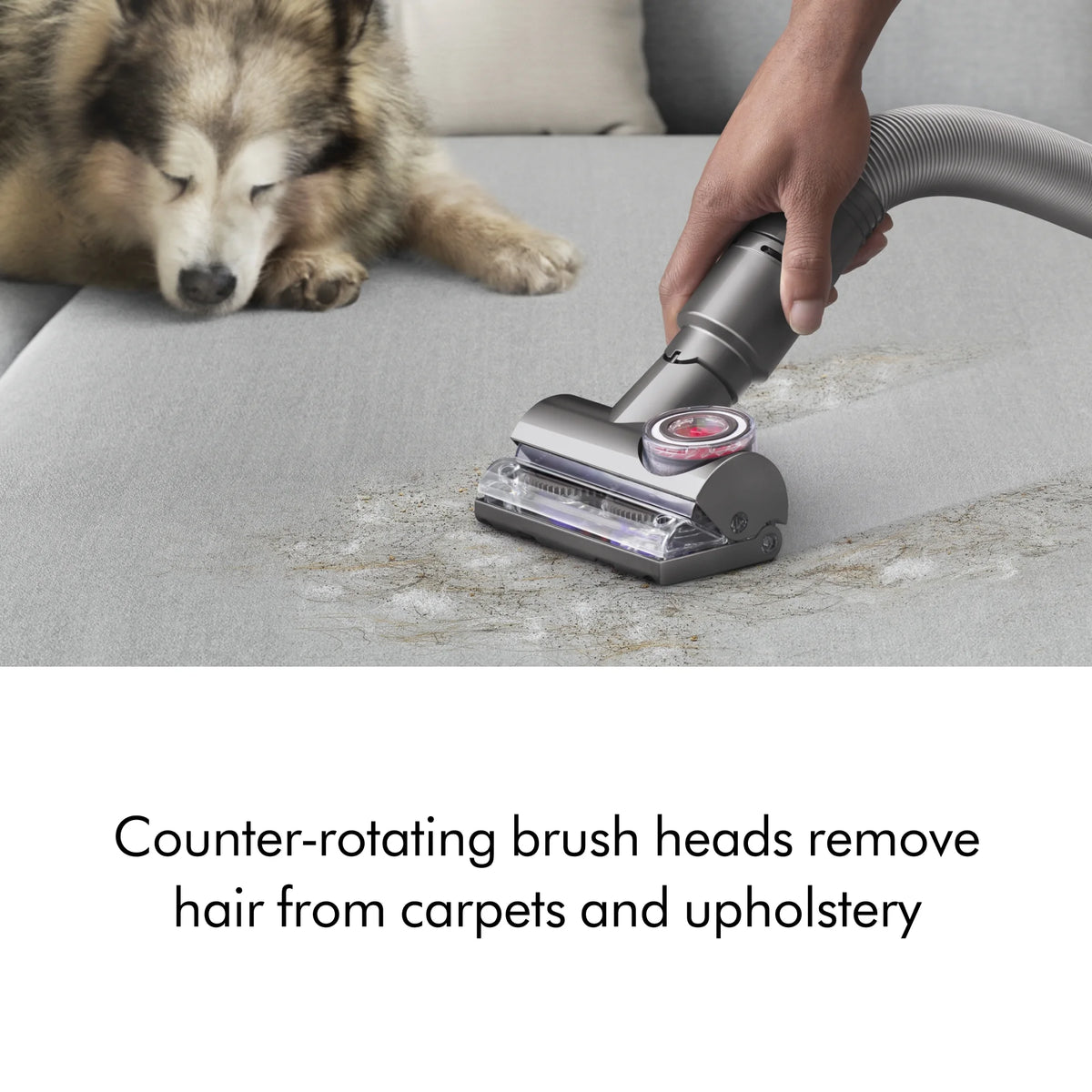Dyson Ball Animal Total Clean Upright Vacuum | Iron/Blue | New