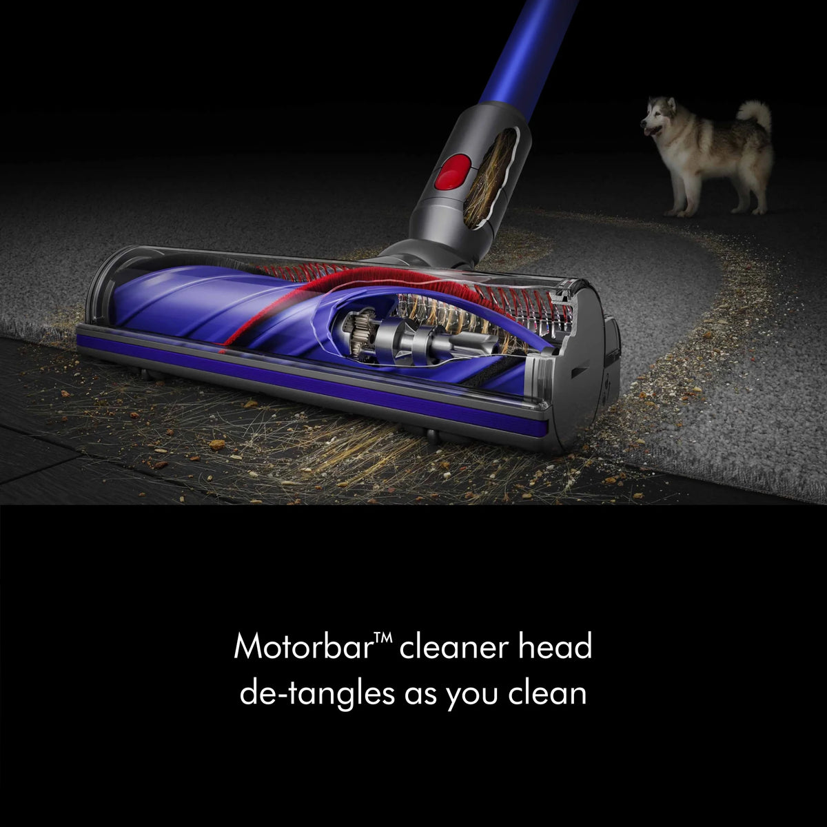 Restored Premium Dyson V11 Cordless Vacuum Cleaner | Iron/Blue (Refurbished)