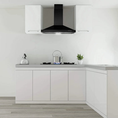 "Joeaonz 24"" Wall Mount Convertible Range Hood, 450CFM, Stainless Steel, 3-Speed with LED Light"