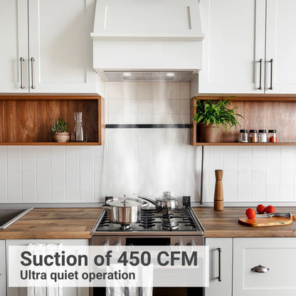 CIARRA Insert Range Hood 20 inch 450 CFM with Push Button Control Stainless Steel CAS913E52