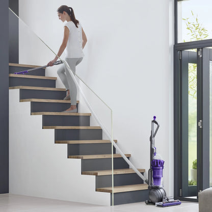 Dyson Ball Animal Origin Upright Vacuum Cleaner | Purple | New