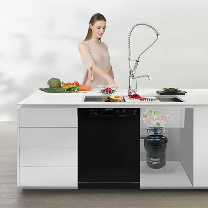 Equator 24 in Dishwasher 14 place + 3/4 HP Garbage Disposer 51dB 110V E-Star ADA